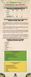 Infografía 5